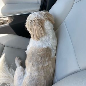 Meet your Posher, Ingrid